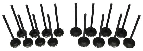 09-11 Chevrolet Pontiac 1.6L Intake and Exhaust Valve Set