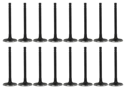 99-16 Ford Lincoln Mercury 4.6L-6.8L Intake and Exhaust Valve Set
