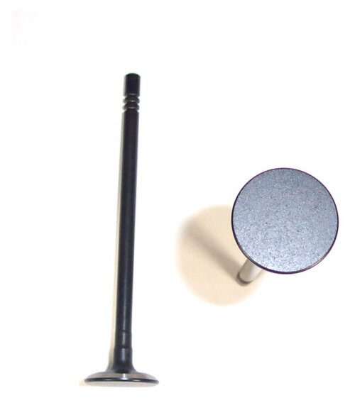 95-02 Mercury Mazda Ford 2.5L V6 Exhaust Valve EV411