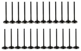 08-15 Subaru 3.6L Intake and Exhaust Valve Set
