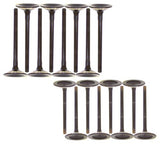 92-03 Dodge Jeep 3.9L-5.9L Intake and Exhaust Valve Set