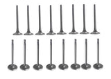 13-17 Infiniti Nissan 2.5L Intake and Exhaust Valve Set