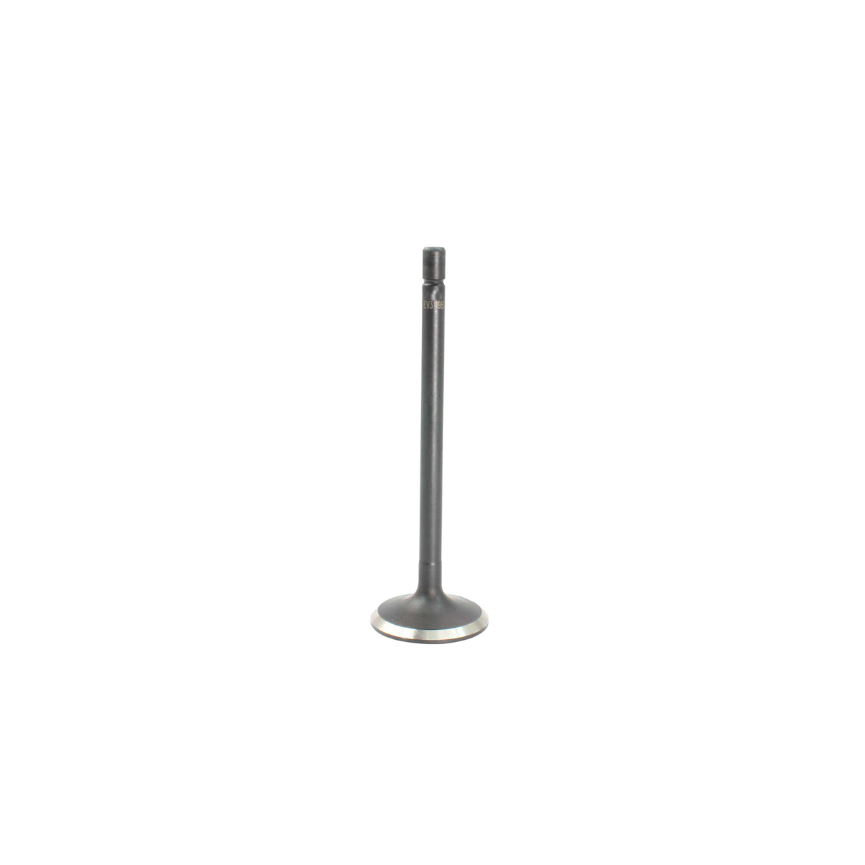 Exhaust Valve 2010-2017 Buick,Cadillac,Chevrolet,GMC,Saab 3.0L-3.6L