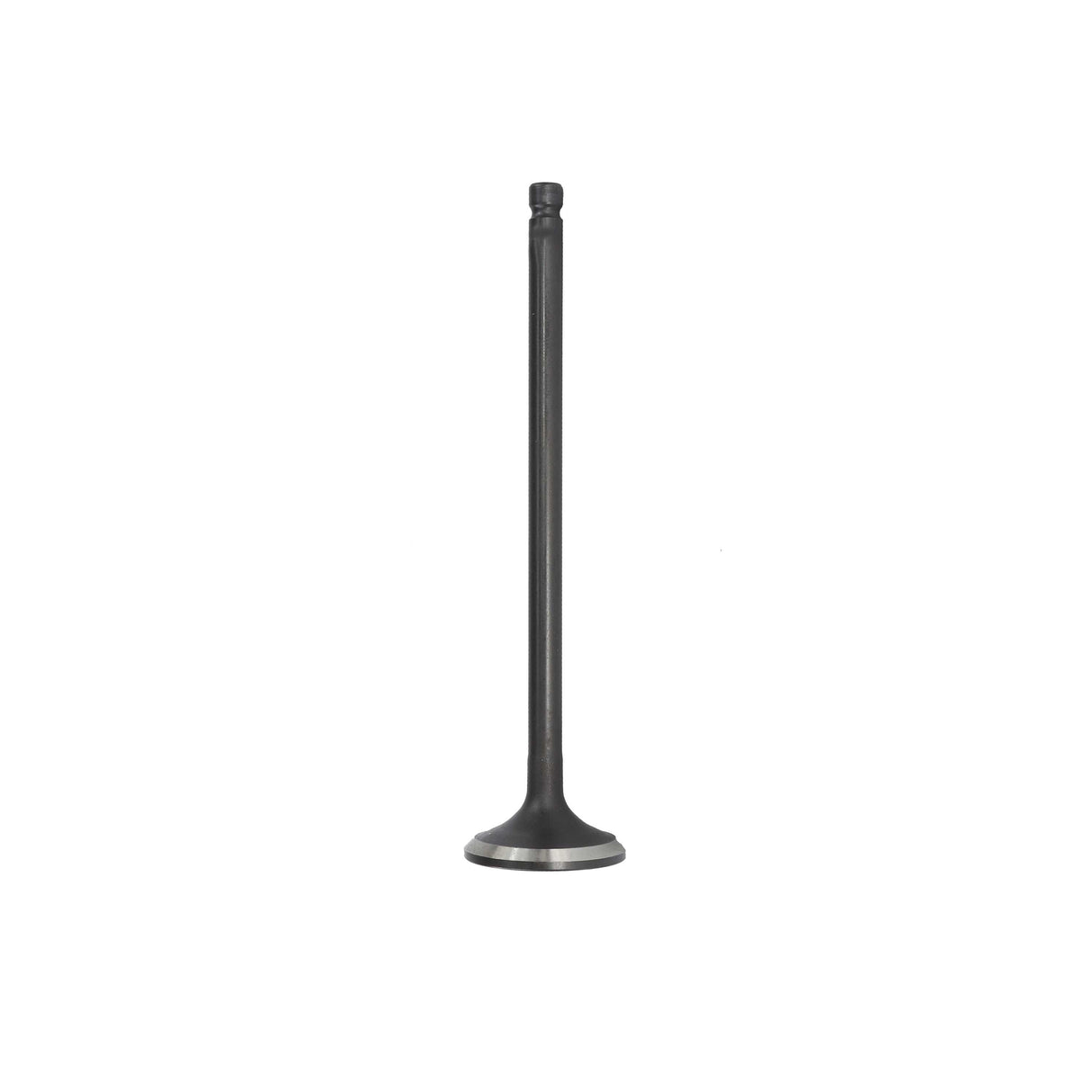 Exhaust Valve 2011-2017 Nissan 1.6L
