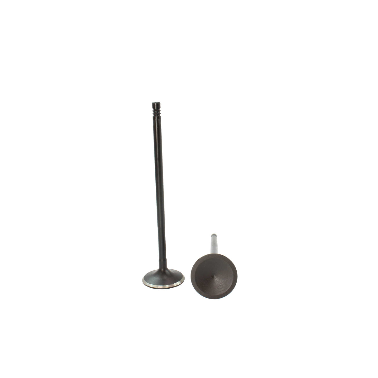 2006 Audi TT Quattro 3.2L Intake Valve