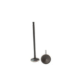 2006 Audi TT Quattro 3.2L Intake Valve