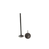 Intake Valve 2004-2015 Audi,Volkswagen 3.2L-3.6L