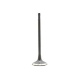 Intake Valve 2007-2016 Mini 1.6L
