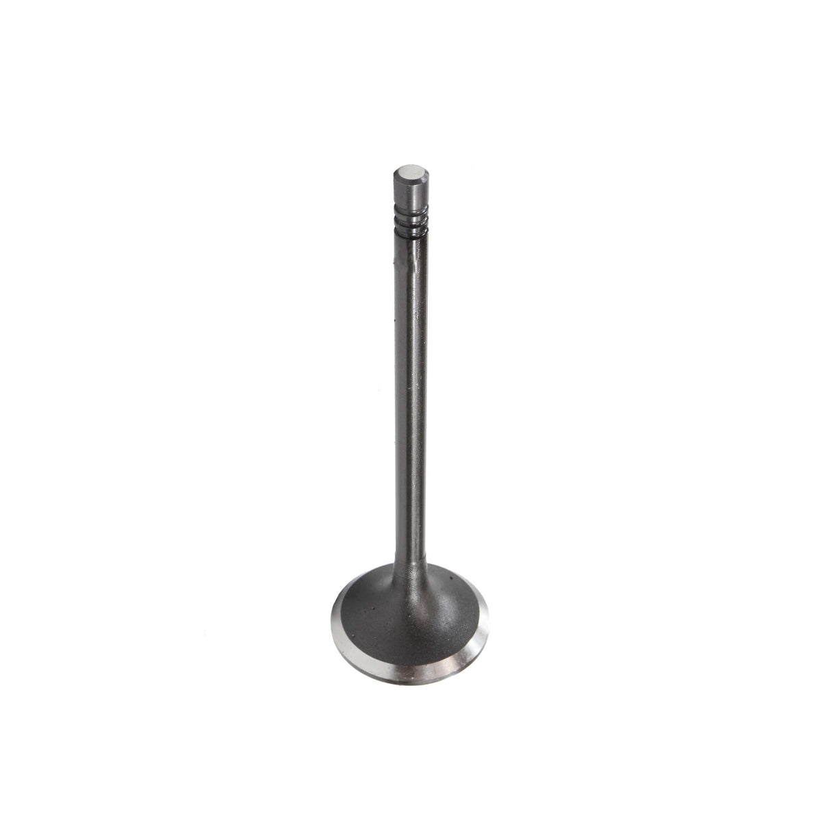 Intake Valve 2014-2015 BMW 2.0L-3.0L