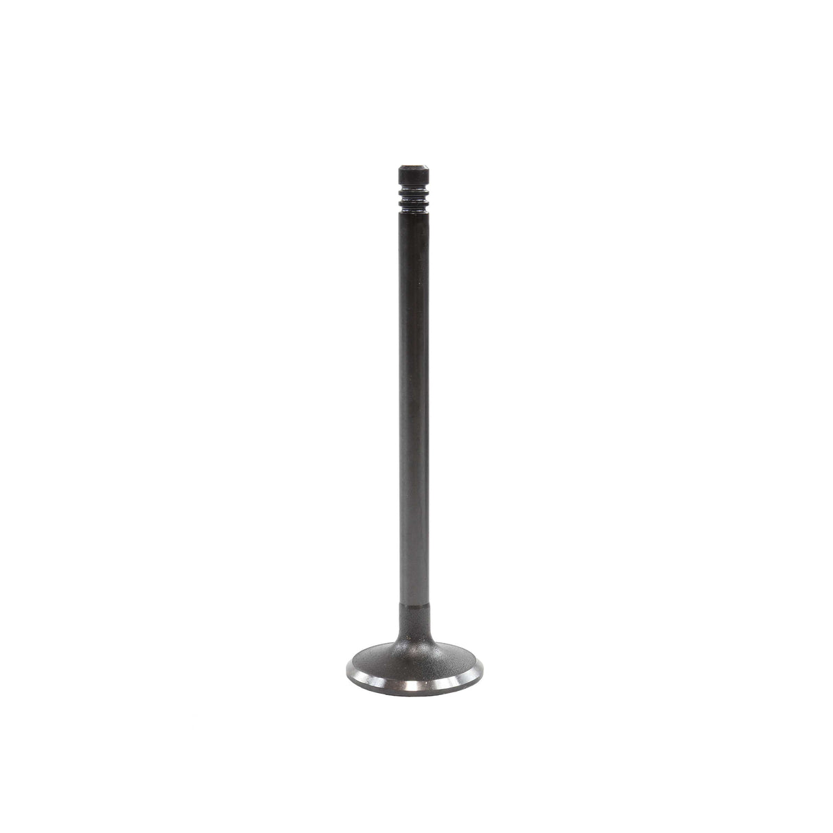 Intake Valve 2009-2013 BMW 3.0L
