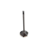 Intake Valve 2006-2013 BMW 3.0L