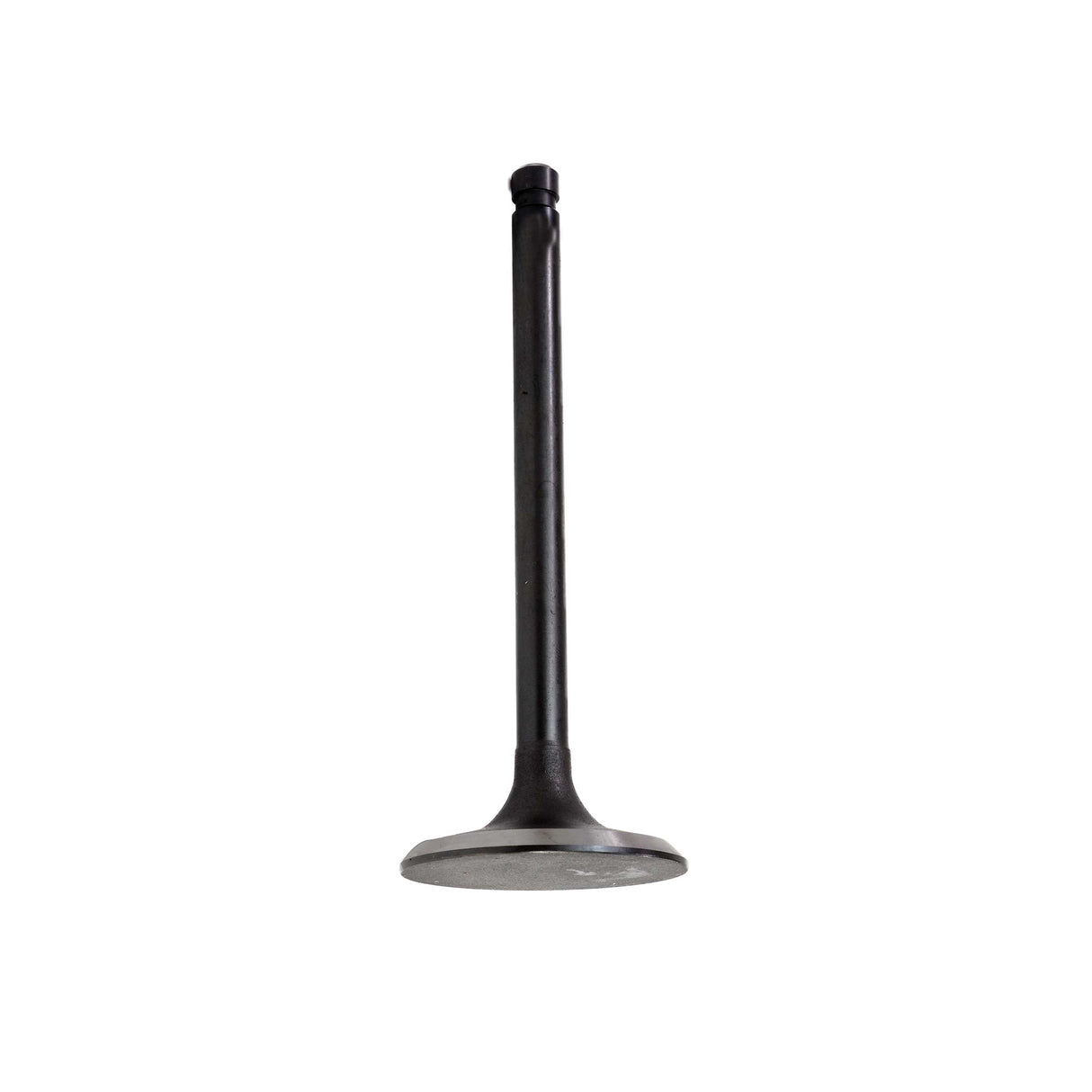 2010 Lexus IS F 5.0L Intake Valve
