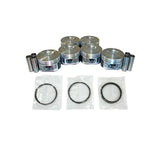 Piston and Ring Set 2004-2007 Ford 3.9L