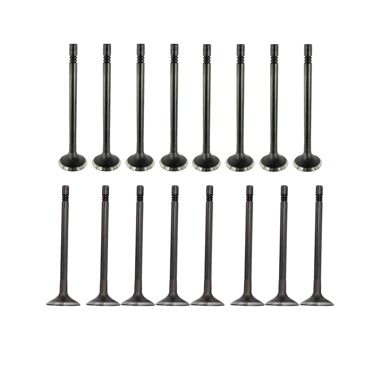 Exhaust / Intake Valve Kit 2009-2015 Audi, Volkswagen 2.0L L4 Turbocharged Engine
