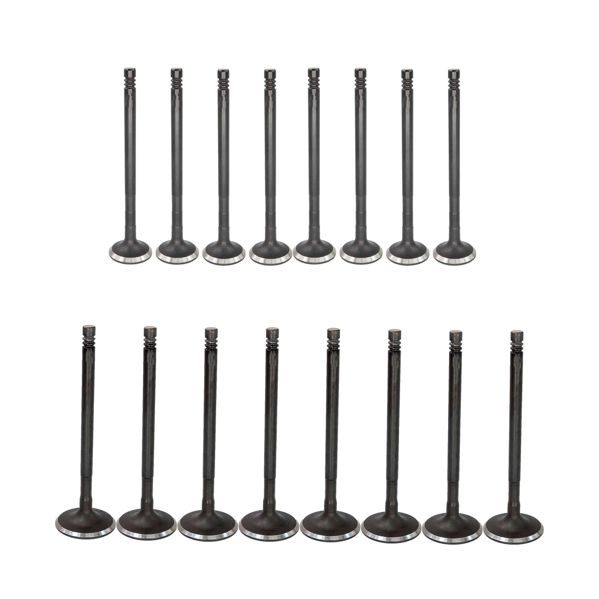 Exhaust / Intake Valve Kit 2011-2019 Ford 1.6L