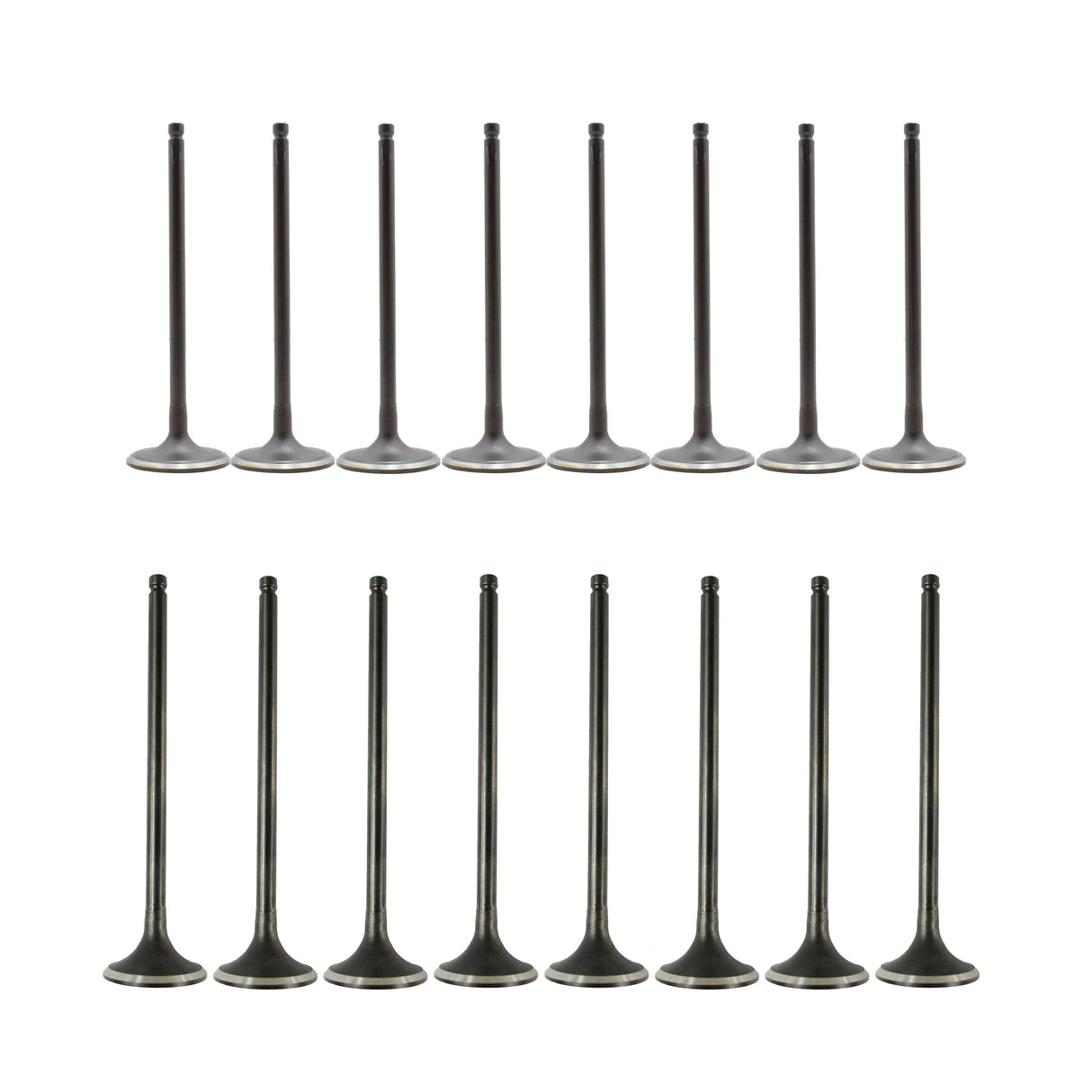 Exhaust / Intake Valve Kit 2009-2011 Nissan 1.6L