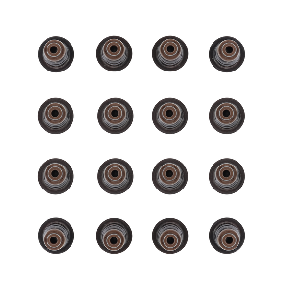 2019 Ram ProMaster City 2.4L Valve Stem Seal