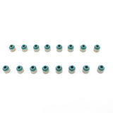 Valve Stem Oil Seal Set 2010-2022 Hyundai,Kia 1.4L-1.6L