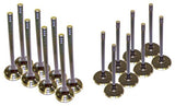 03-08 Chrysler Dodge Jeep 5.7L Intake and Exhaust Valve Set