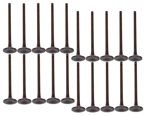 99-16 Ford Lincoln Mercury 4.6L-6.8L Intake and Exhaust Valve Set