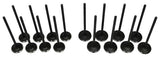 04-08 Chevrolet 1.6L Intake and Exhaust Valve Set
