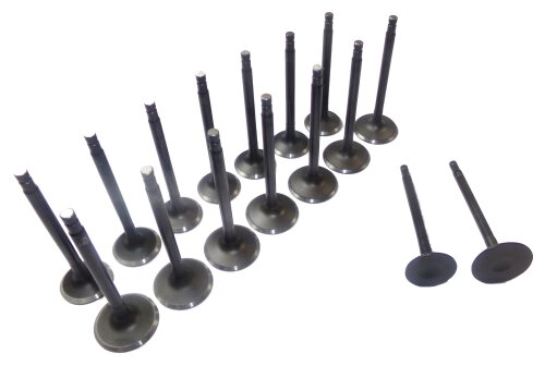 98-04 Nissan 2.4L Intake and Exhaust Valve Set