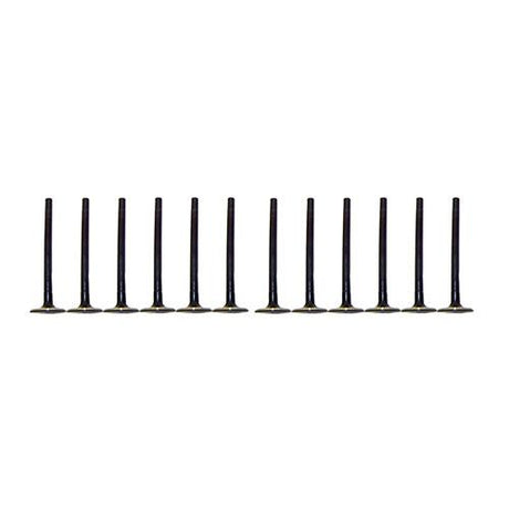 dnj exhaust / intake valve kit 1989-1995 ford,lincoln,mercury taurus,thunderbird,continental v6 3.8l vk124116
