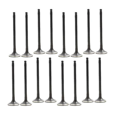 dnj exhaust / intake valve kit 1995-2006 nissan 200sx,sentra,200sx l4 1.6l,1.8l vk16641
