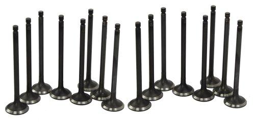 dnj exhaust / intake valve kit 1996-2001 hyundai elantra,elantra,tiburon l4 1.8l,2.0l vk16124