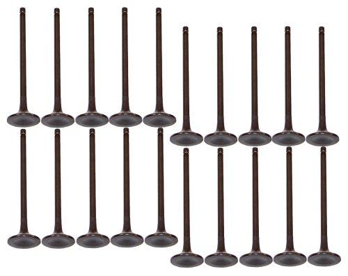 dnj exhaust / intake valve kit 2000-2016 ford e-350 econoline club wagon,e-350 super duty,e-450 econoline super duty v10 6.8l vk204149