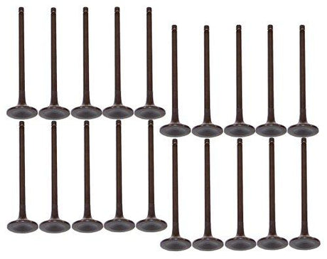 dnj exhaust / intake valve kit 2000-2016 ford e-350 econoline club wagon,e-350 super duty,e-450 econoline super duty v10 6.8l vk204149