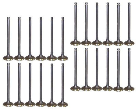 dnj exhaust / intake valve kit 2004-2006 suzuki verona,verona,verona l6 2.5l vk24528