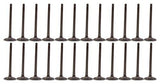 dnj exhaust / intake valve kit 2007-2009 suzuki xl-7,xl-7,xl-7 v6 3.6l vk24535
