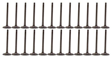 dnj exhaust / intake valve kit 2007-2009 suzuki xl-7,xl-7,xl-7 v6 3.6l vk24535