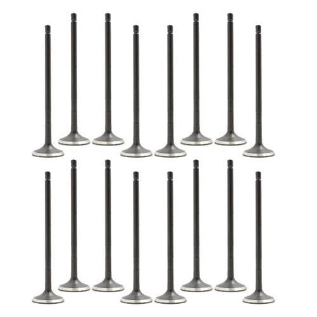 dnj exhaust / intake valve kit 2008-2015 lexus,pontiac,scion xd,vibe,xd l4 1.8l vk16928