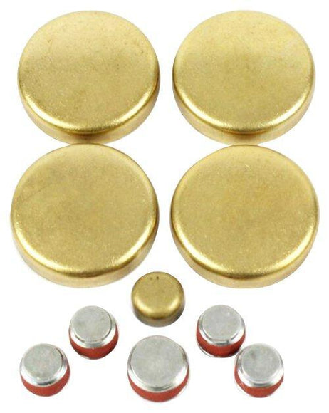 dnj expansion plug kit 1990-1997 buick,chevrolet,gmc beretta,cavalier,corsica l4 2.2l fps328