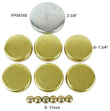 dnj expansion plug kit 1997-2016 ford,lincoln e-150 econoline,e-150 econoline club wagon,e-250 econoline v8 5.4l fps4160