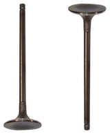 dnj intake valve 1989-1994 suzuki swift,swift,swift l4 1.3l iv510