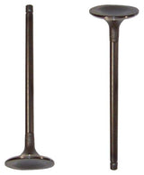 dnj intake valve 1989-1994 suzuki swift,swift,swift l4 1.3l iv510