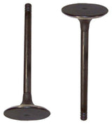 dnj intake valve 1992-2002 volkswagen corrado,corrado,passat v6 2.8l iv815