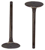 dnj intake valve 1992-2002 volkswagen corrado,corrado,passat v6 2.8l iv815