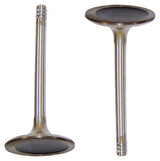 dnj intake valve 1993-2006 audi,volkswagen golf,jetta,golf l4,v6 2.0l,2.8l iv808