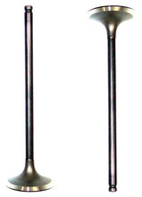 dnj intake valve 1994-1997 honda,isuzu accord,accord,odyssey l4 2.2l iv245