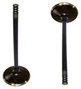 dnj intake valve 1996-2008 ford,mercury windstar,e-150 econoline,e-150 econoline club wagon v6 3.8l,3.9l,4.2l iv4120