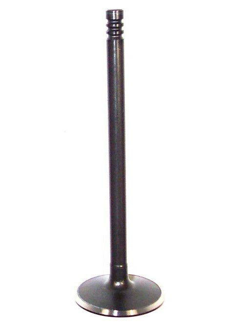 Intake Valve 1998-2011 Chrysler,Dodge,Plymouth,Volkswagen 3.2L-4.0L
