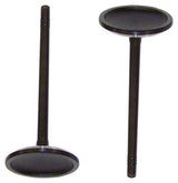 dnj intake valve 1999-2016 ford,lincoln,mercury mustang,mustang,crown victoria v10,v8 4.6l,5.4l,6.8l iv4149