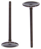 dnj intake valve 2002-2006 buick,chevrolet,gmc trailblazer,trailblazer ext,envoy l4,l5,l6 2.8l,3.5l,4.2l iv3138