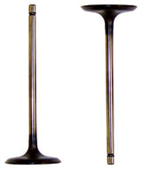 dnj intake valve 2005-2015 toyota tacoma,tacoma,tacoma l4 2.7l iv954