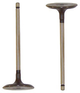 dnj intake valve 2005-2019 lexus,toyota avalon,is350,avalon v6,v8 3.5l,4.0l,4.6l iv968