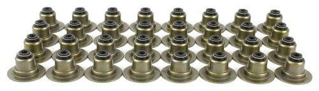 dnj valve stem oil seal set 1997-2010 ford,jaguar,lincoln xk8,vanden plas,xj8 v8 3.9l,4.0l,4.2l vss4162